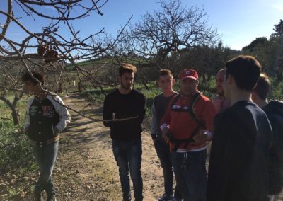 asl-pistacchio-pianta-frutto-coltivazione-parassiti